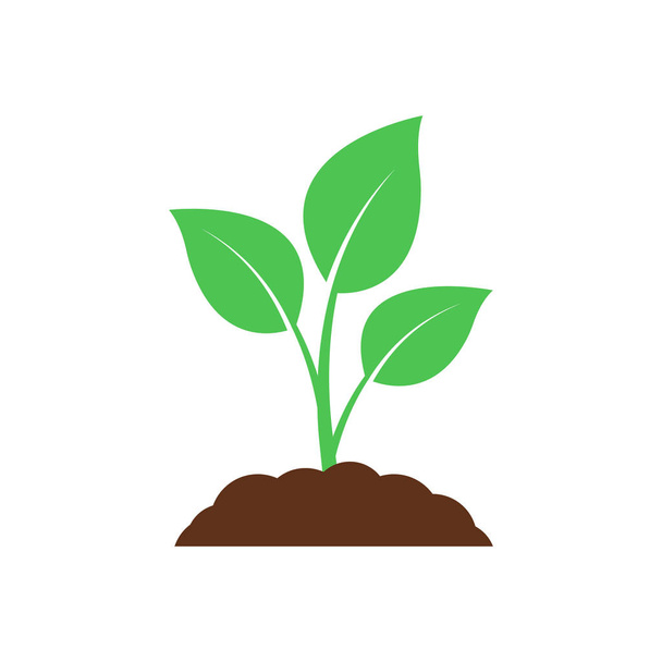 Seedling icon. Plant symbol. Sprout from the ground. Flat style. - Vector, Image