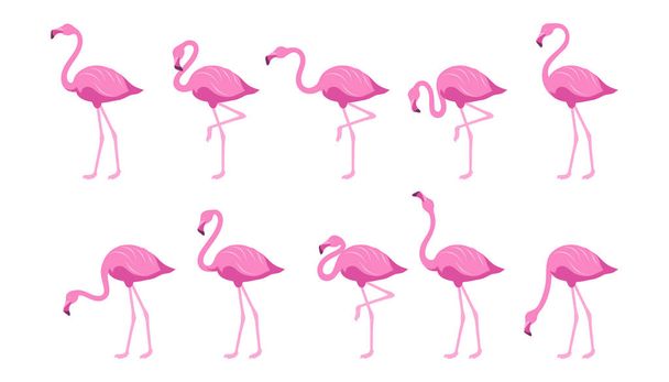 Flamingo plano. Ave tropical exótica em estilo plano. Conjunto de flamingos. Animais exóticos. Coleção de flamingos rosa bonito em diferentes poses. Natureza, fauna selvagem. Animal zoológico. Gráficos vetoriais para projetar
 - Vetor, Imagem