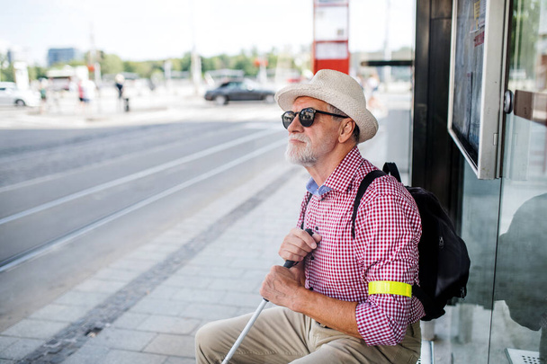 Senior blind man with white cane waiting for public transport in city. - Zdjęcie, obraz
