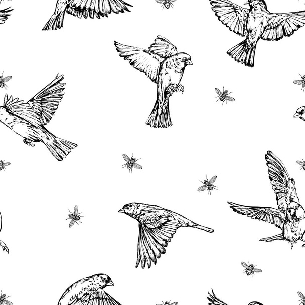 Flyes and sparrows seamless background - Vector, Imagen