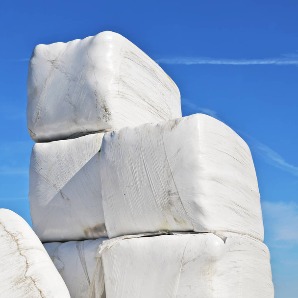 Plastik beyaz folyoyla korunan saman balyaları bir mandıra çiftliği. - Fotoğraf, Görsel