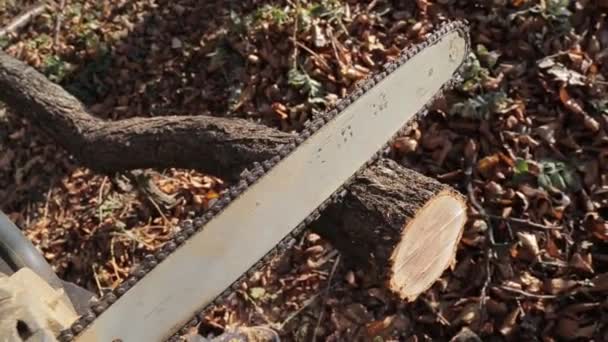 the camera zooms in and out of the chain saw guide - Footage, Video