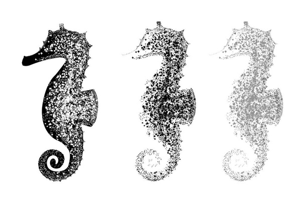 drawn seahorses on a white background. vector image - Vector, Image