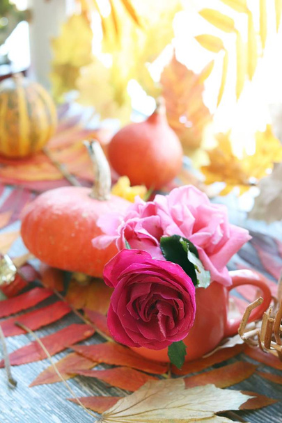 Composição de outono de abóboras, rosa fresca em uma xícara, folhas em um peitoril da janela, Ação de Graças, cumprimentos
 - Foto, Imagem