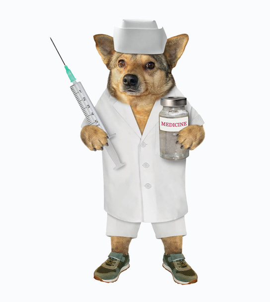 Dog vet with syringe and medicine - Фото, зображення