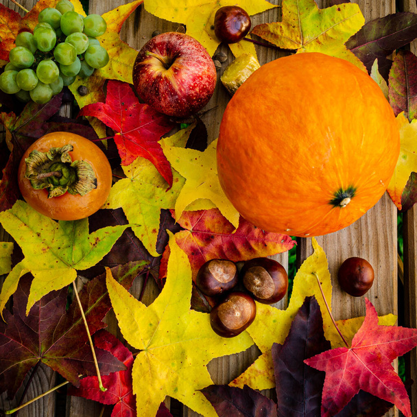 Autumn or Fall  concept. Flat-lay of persimmon, apple, grapes, pumpkin and chestnuts with yellow, red and brown fallen leaves over rustic wooden table - Photo, Image
