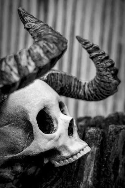 Halloween Koponya démon szarvak - Fotó, kép