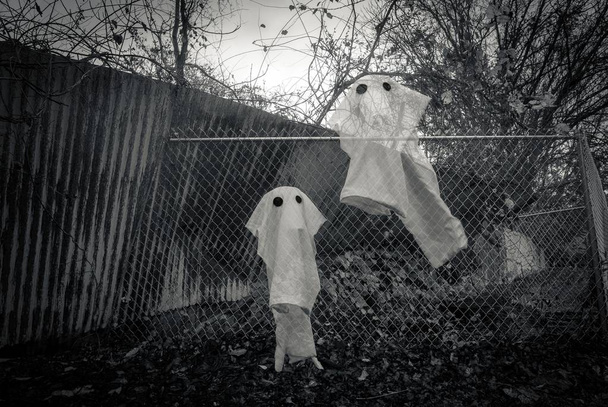 Strašidelné halloweenské duchy - Fotografie, Obrázek