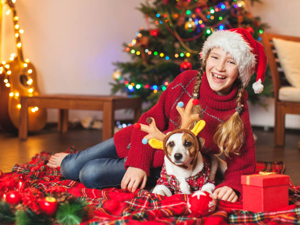 Smiling girl with dog near christmas tree at home - Zdjęcie, obraz