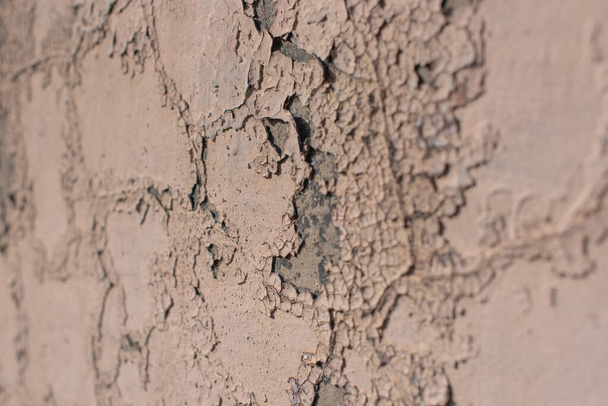 ρωγμές του ξηρού χρώματος λευκή υφή, παλιό τοίχο από ξύλο Και υπάρχουν πλάκες χρώματος που ξεφλουδίζουν μακριά. - Φωτογραφία, εικόνα