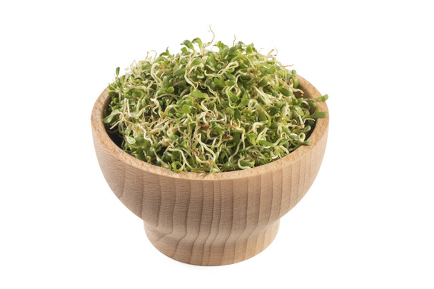 lucerne alfalfa in wooden bowl isolated on white background. nutrition. food ingredient. - Φωτογραφία, εικόνα