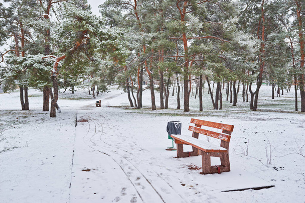 公園の雪に覆われたベンチは - 写真・画像