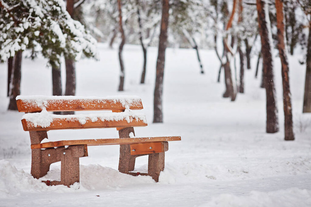 παγκάκι καλυμμένο με χιόνι σε πάρκο - Φωτογραφία, εικόνα