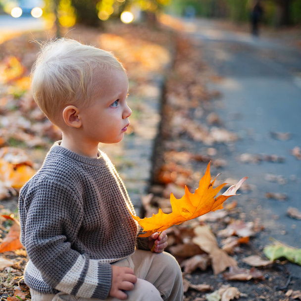 Beautiful child in a grey sweater in the autumn nature, rural cozy scene. The boy sits in the autumn leaves in the park. Happy baby boy with blonde hair plays at beautiful sunny autumnal evening. - Foto, Imagen