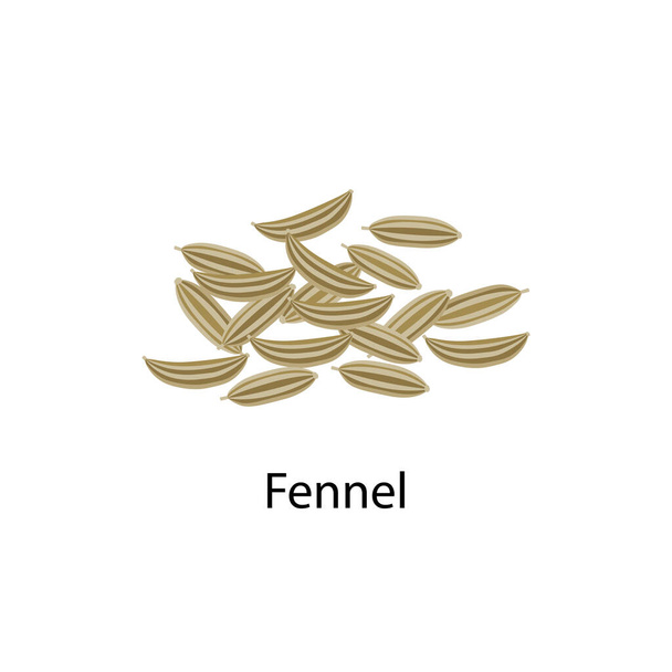 Векторная иллюстрация семян фенхеля в плоском дизайне на белом фоне
. - Вектор,изображение
