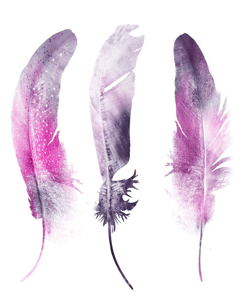 Watercolor feathers, isolated on white background - Фото, изображение