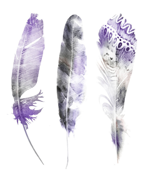 Watercolor feathers, isolated on white background - Foto, imagen