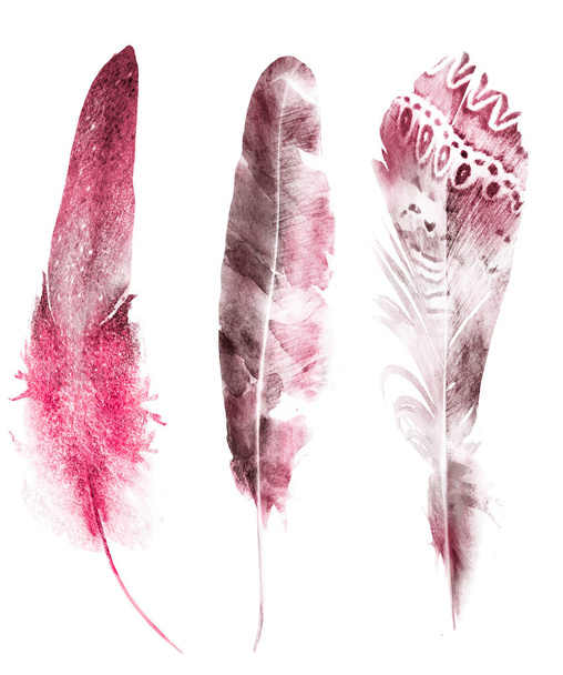 Watercolor feathers, isolated on white background - Fotó, kép