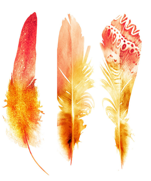 Watercolor feathers, isolated on white background - Fotoğraf, Görsel