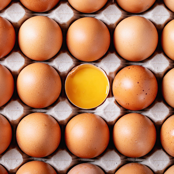 Eggs in carton box - Фото, изображение