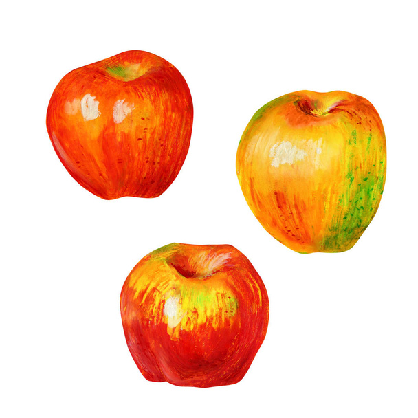 Três maçãs isoladas em um fundo branco
. - Foto, Imagem