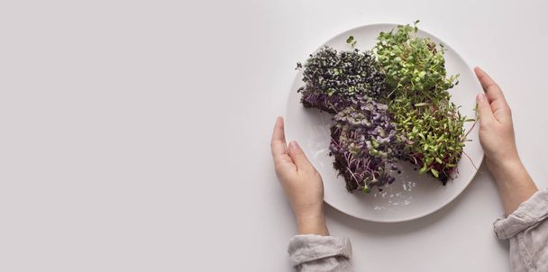 Woman holding plate with microgreens for diet nutrition - Fotoğraf, Görsel