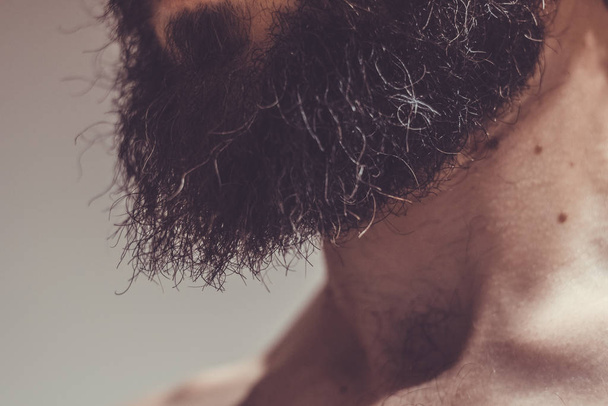 37 years old caucasian male beard, neck and part of the torso - Photo, Image