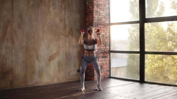 Attractive fit woman in grey sport uniform squatting with dumbbells in the gym on the sunlight from the window background. Slow motion - Filmagem, Vídeo