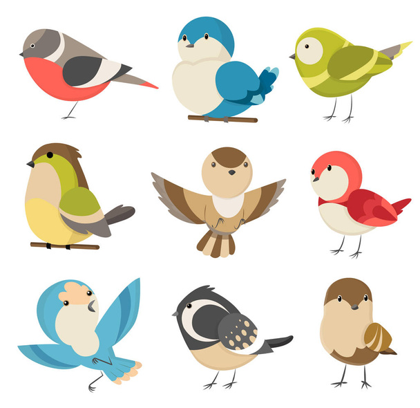 Set of cute little colorful birds isolated on white background. Common house sparrow couple, male and female. Small birds in cute cartoon style. Isolated vector clip art illustration - Vector, Image