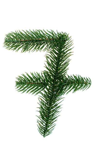 Numer 7, zebrany z gałęzi choinki, zielona jodła. Izolacja na białym tle - Zdjęcie, obraz