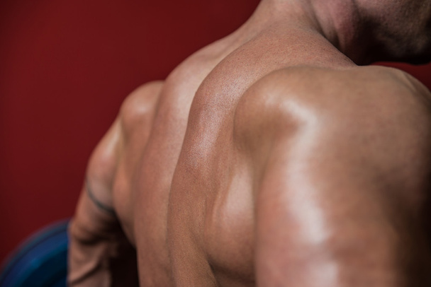 Muscular Back - Foto, afbeelding