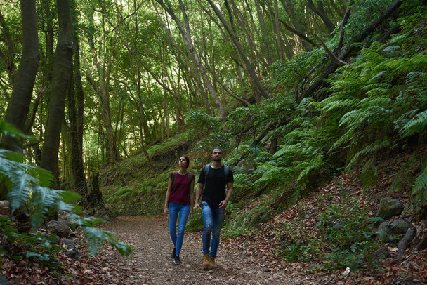 Young couple walking past large tree ferns - Φωτογραφία, εικόνα