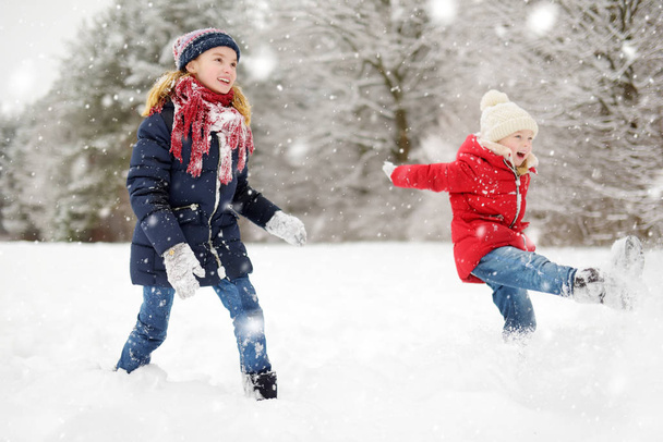 Two adorable young girls having fun together in beautiful winter park. Cute sisters playing in a snow. - Foto, Imagen