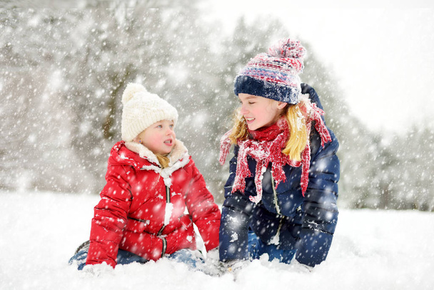 Two adorable young girls having fun together in beautiful winter park. Cute sisters playing in a snow. Winter activities for family with kids. - Valokuva, kuva