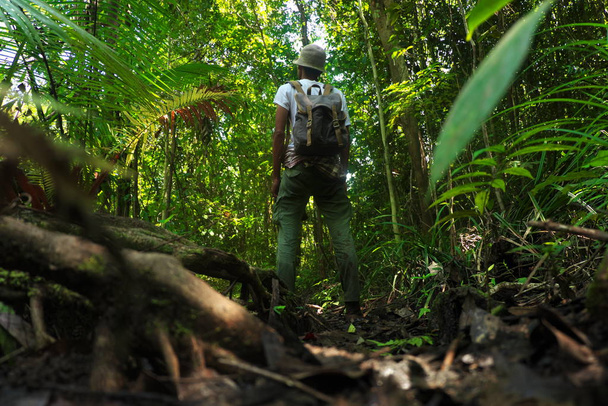 młody poszukiwacz przygód z plecakiem idzie samotnie do dżungli, Koh Yao Yai, Phang Nga, Tajlandia. koncepcja odejścia od tego wszystkiego - Zdjęcie, obraz