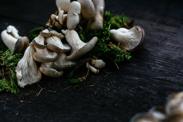 Les champignons huîtres reposent sur une table en bois sombre
 - Photo, image