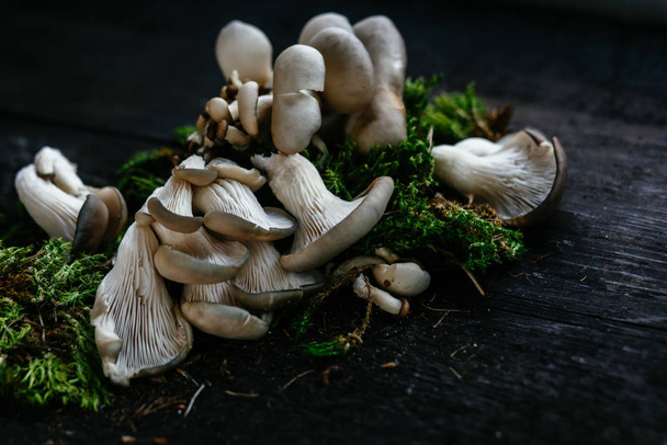 Osztriga gombák fekszenek egy sötét fa asztalon - Fotó, kép