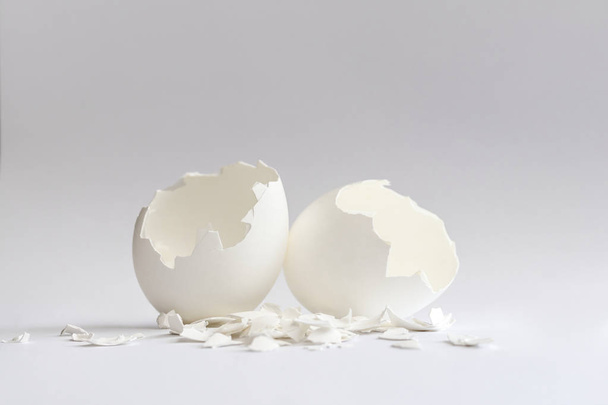 Cáscaras de huevo blancas sobre fondo blanco
 - Foto, imagen