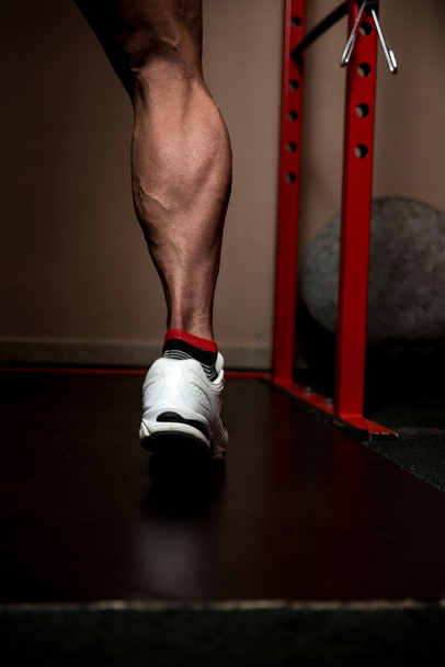 That's How You Train Legs Calves - Φωτογραφία, εικόνα