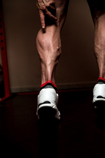 Sporty Legs Calf - Valokuva, kuva