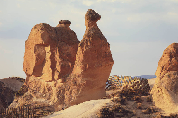 Camel rock at Devrent valley (Imaginary valley) in Cappadocia, Anatolia, Turkey. UNESCO world heritage site - Zdjęcie, obraz