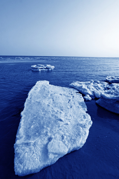 海岸の残存氷の自然の風景 - 写真・画像