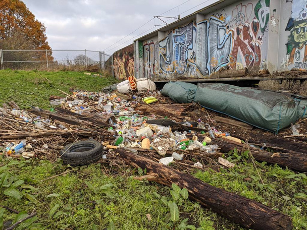 Inquinamento dei fiumi e rifiuti di plastica spazzati via dopo le inondazioni
 - Foto, immagini