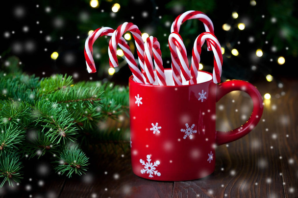 Christmas time composition with  sweet candy canes - Foto, Imagen