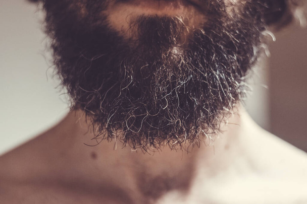 37 years old caucasian male beard, neck and part of the torso - Photo, Image