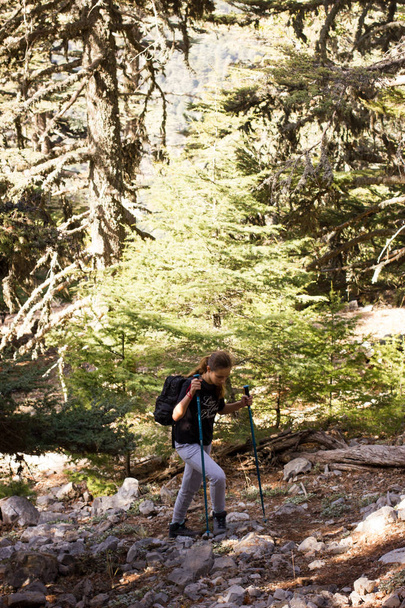 Młoda nastolatka z kijami trekkingowymi i plecakiem w lesie. Wspinaczka - Zdjęcie, obraz