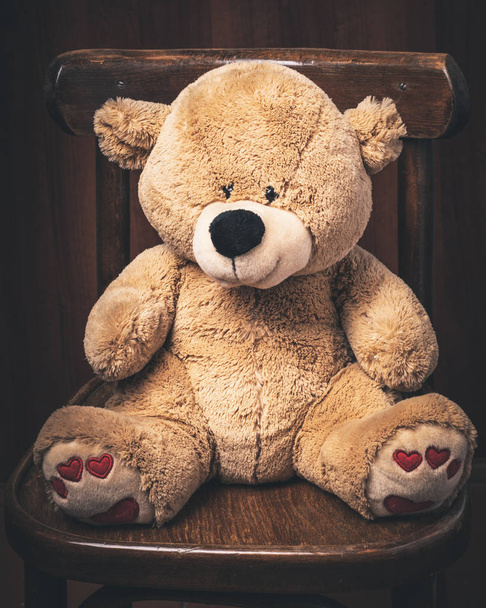 Teddybär sitzt auf einem alten Stuhl - Foto, Bild