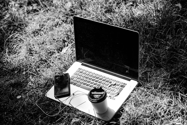 university students life. Online shopping. agile business. Online study. working place outdoor. Free music. computer with headset of mobile phone and coffee to go on green grass. summer vibes. Relax - Φωτογραφία, εικόνα