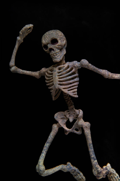 Танці скелет
 - Фото, зображення