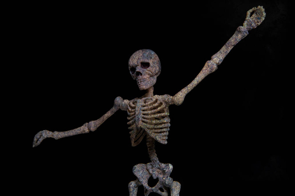 Танці скелет
 - Фото, зображення